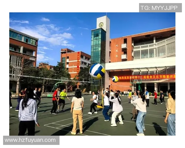 深圳排球队的精神探索与排球文化的深度解析